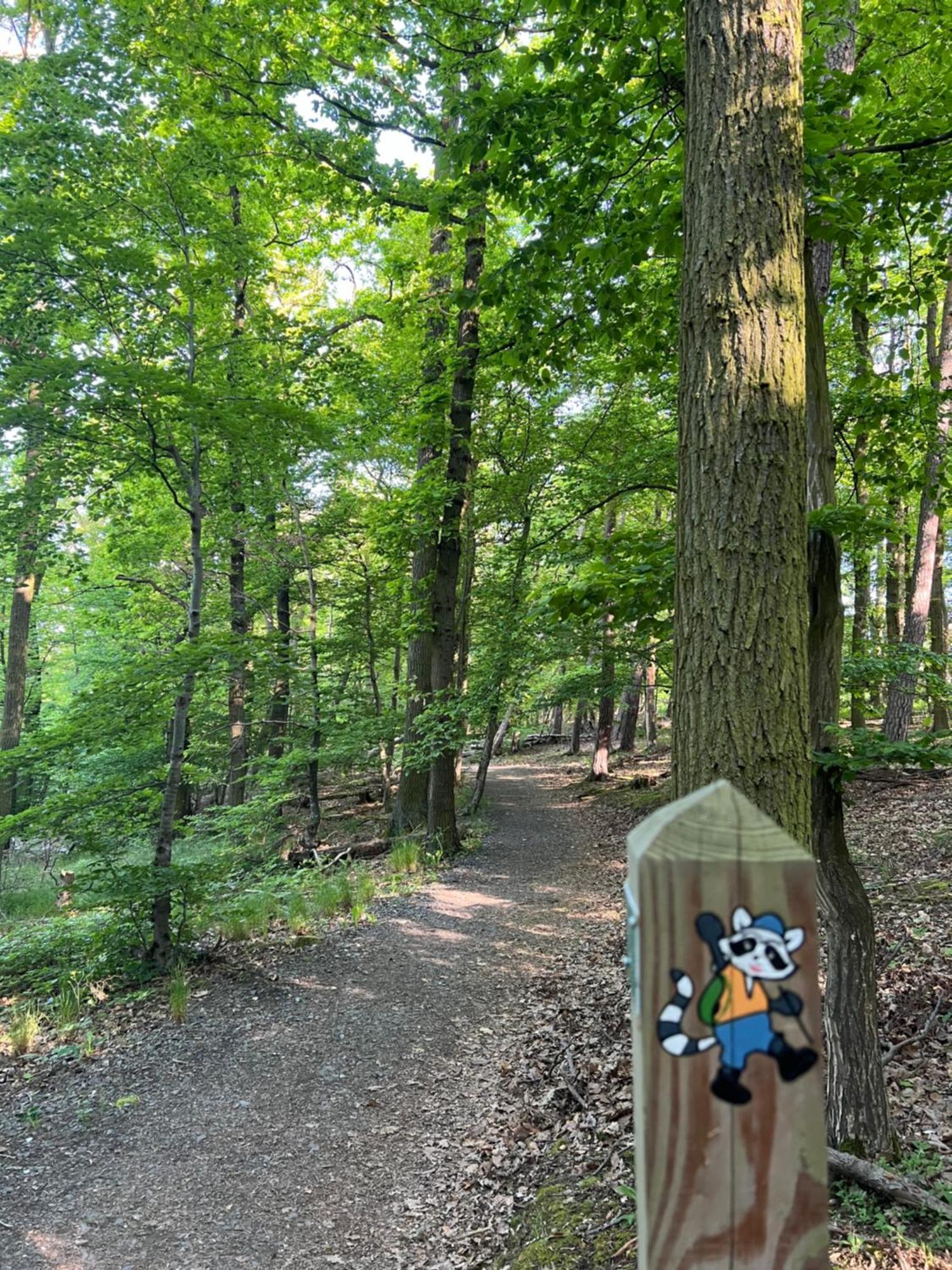 Bergschloesschen Edersee Waldeck  Kültér fotó